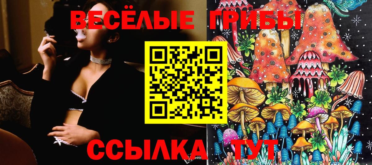 Железноводск  Псилоцибиновые грибы Cubensis  Псилоцибиновые грибы GOLDEN TEACHER  Вход с VPN 